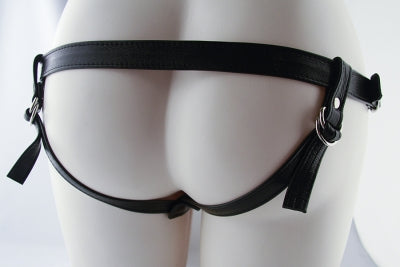 Fave Plug Harness