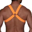 Fetish Elastic Harness
