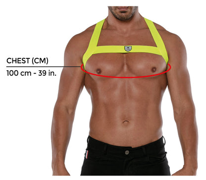 Kinky Zipped Pocket Harness