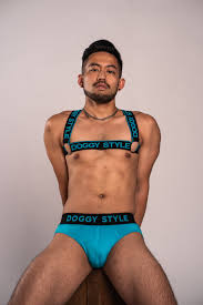Doggy Style Logo Harness