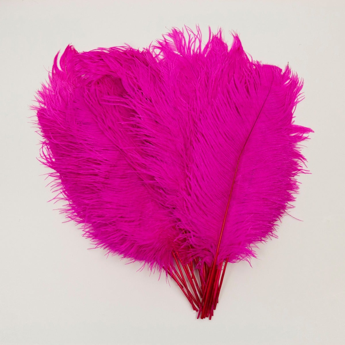 A group of Neon Pink Ostrich Plumes.