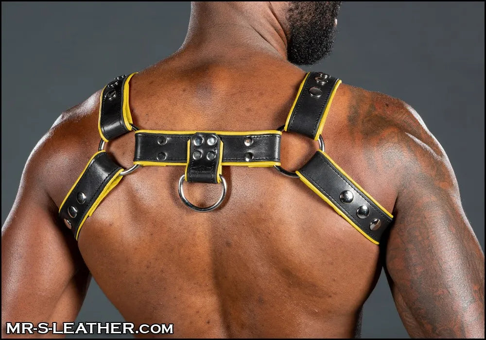 Bulldog Harness 2.0