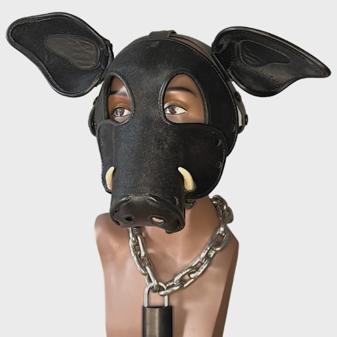 A video of a 360 rotating view of the black long short snout boar mask with tusks on a mannequin head wearing a heavy metal chain with lock around its neck.