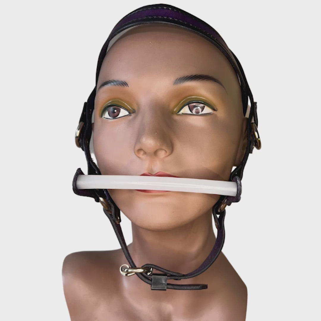 360 rotating video of locking bit head harness