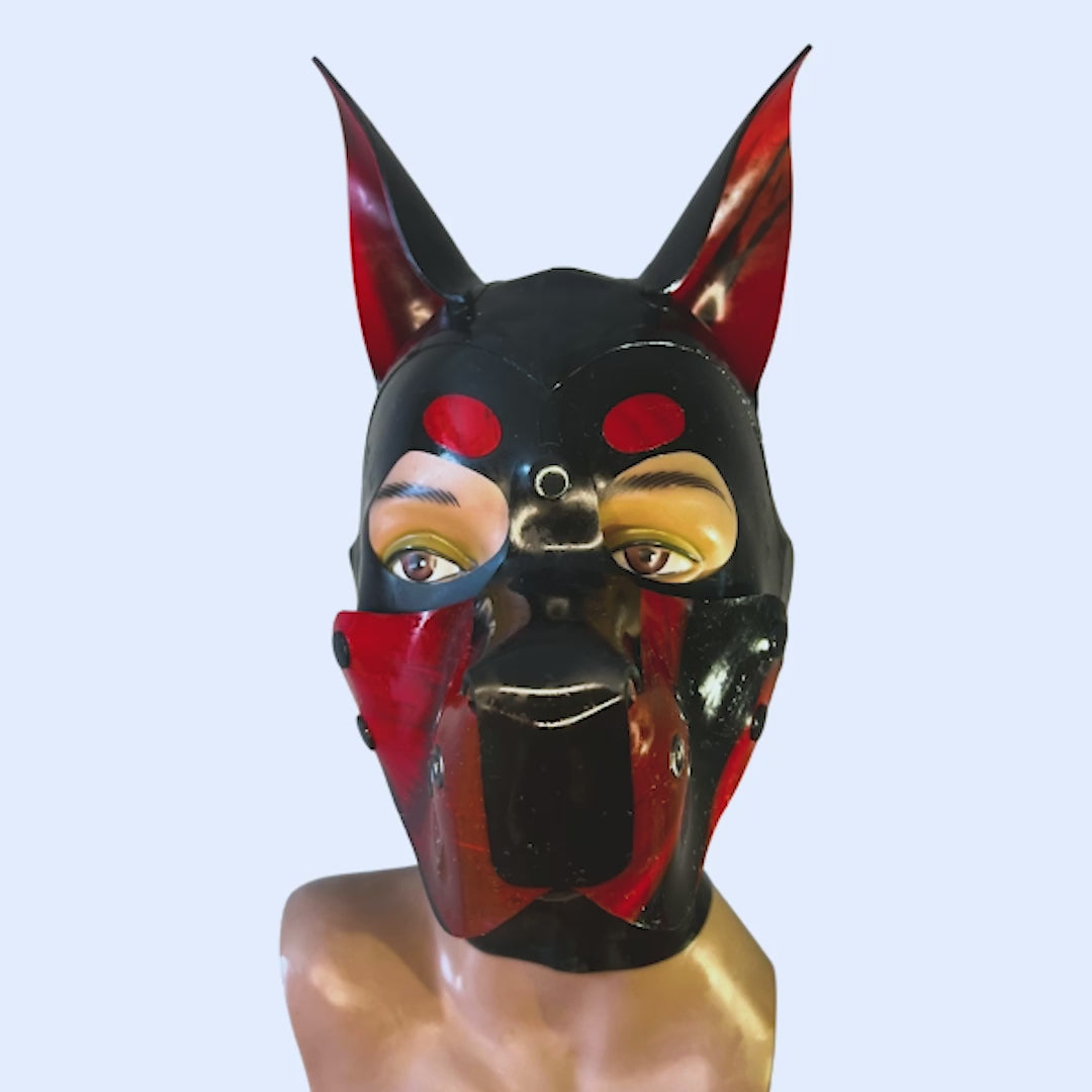 A 360 rotating video of Small, medium and Large Latex Doggy Hood.