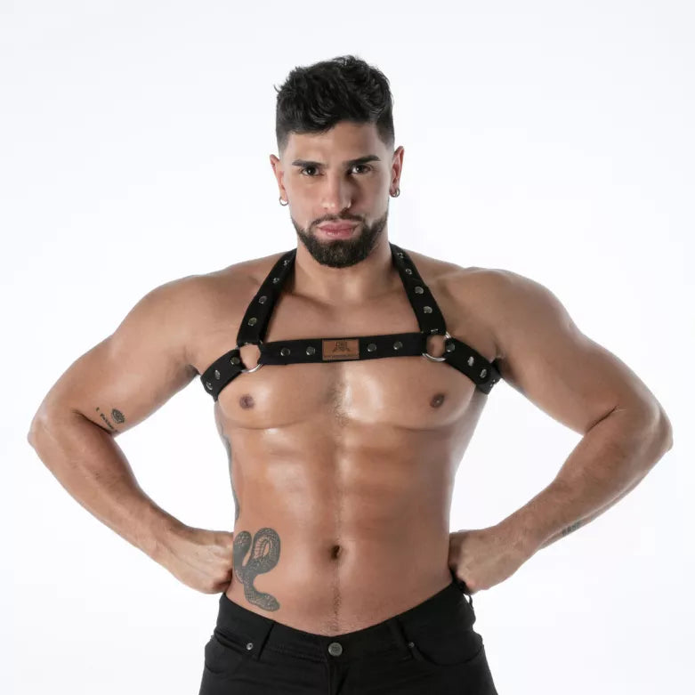 Raw Denim Bulldog Harness
