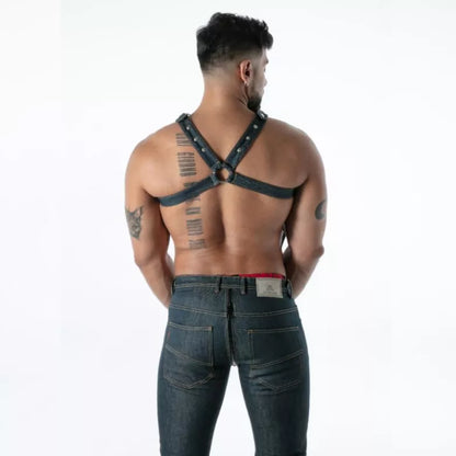 Raw Denim Bulldog Harness