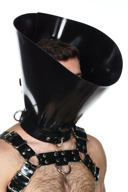 Vilain Garcon Cone of shame