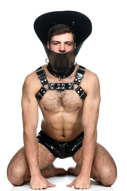 Vilain Garcon Cone of shame