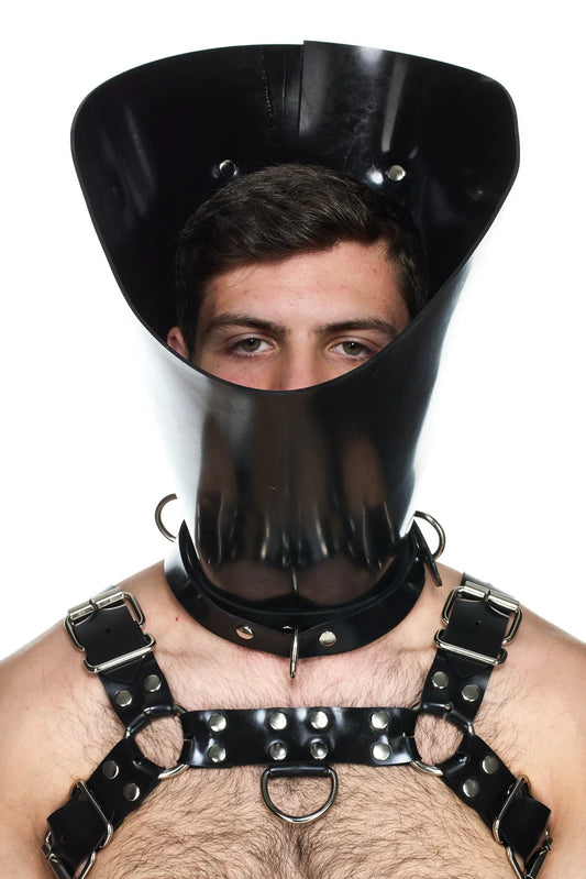 Vilain Garcon Cone of shame