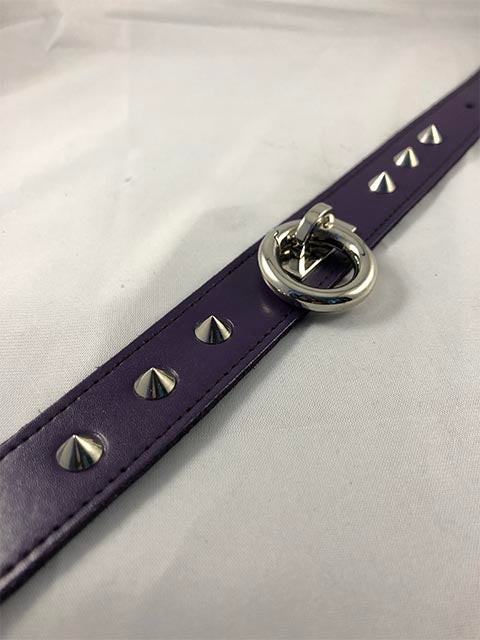 Close up of studs and o-ring of purple rouge collar.
