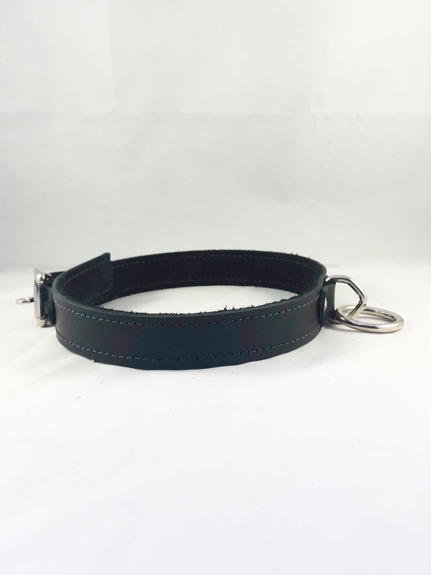Side view of the black Basic Single Ring Collar.
