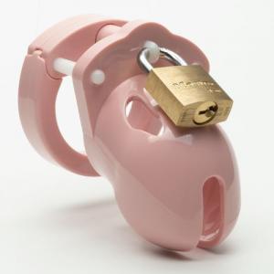 All pieces of the chastity device in pink locked together.