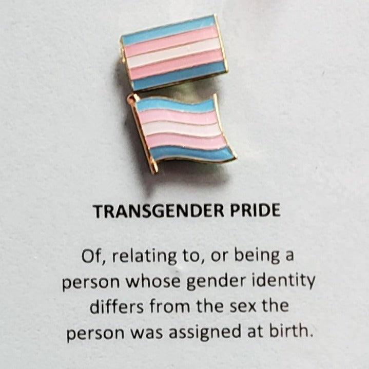 Enamel  Pride Flag Lapel Pin Trans Pride Wavy & Rectangle