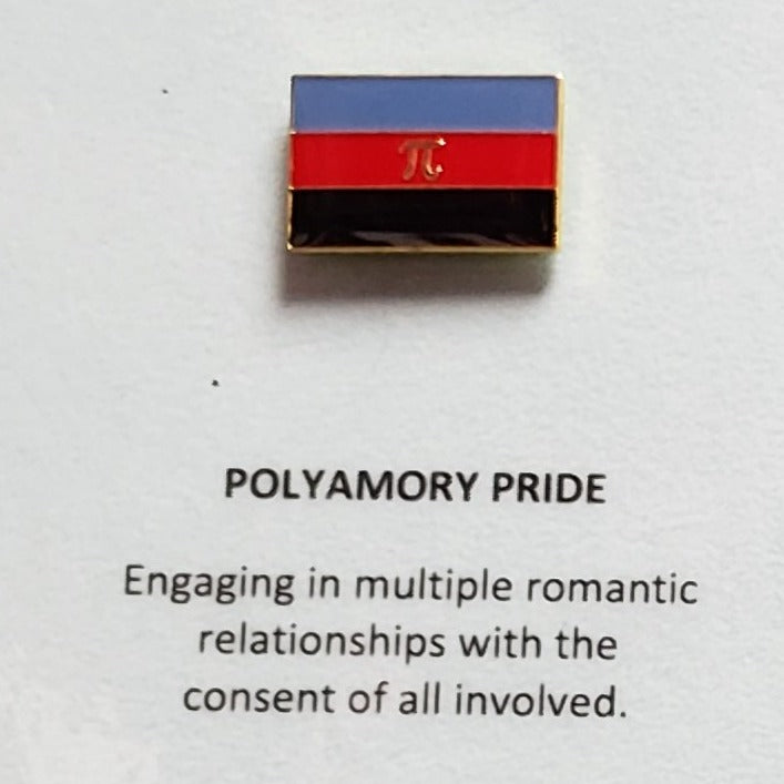Enamel Pride Flag Lapel Pin Polyamory Flag Rectangle