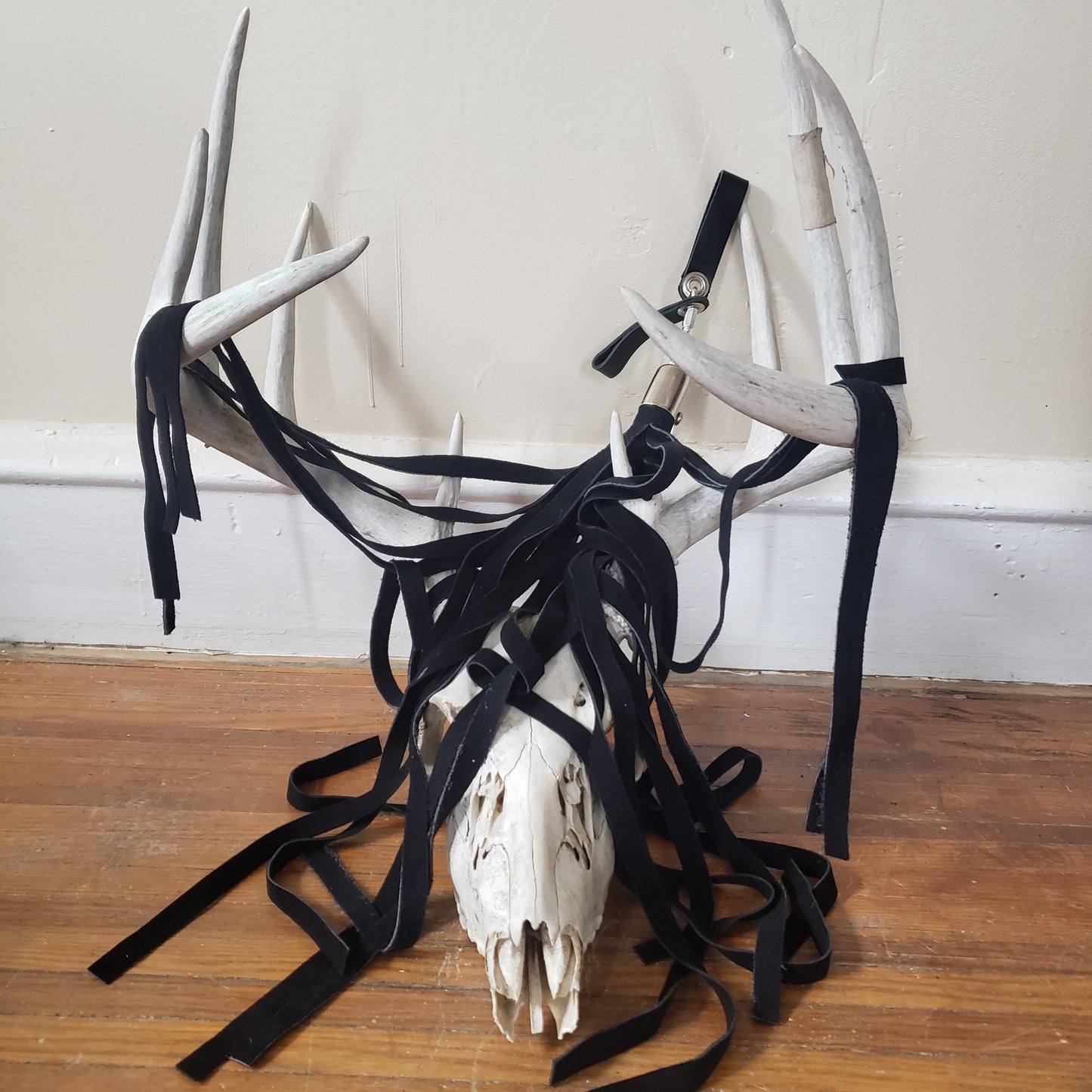 The black suede finger loop flogger displayed on the antlers of a deer skull.