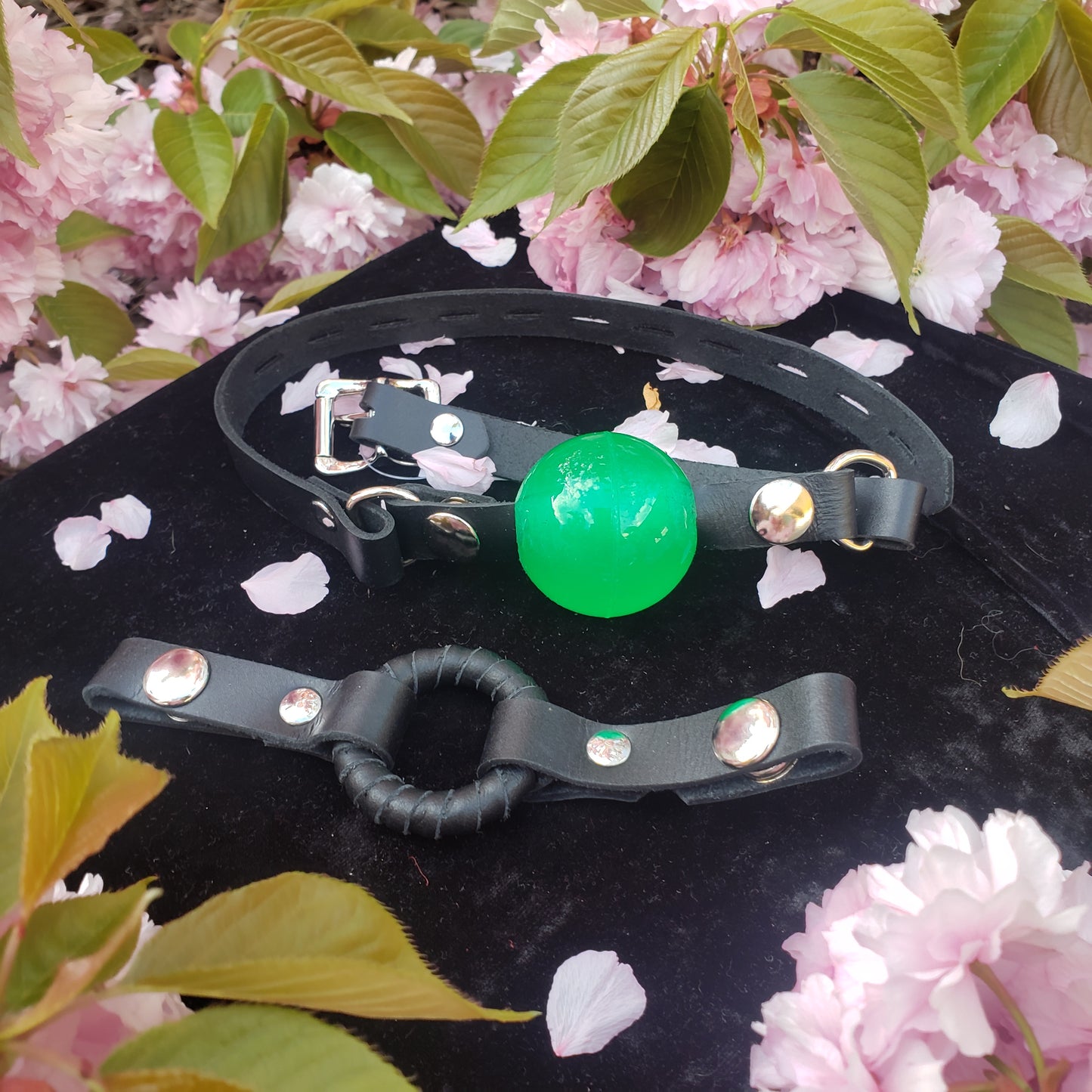 The Interchangeable Ball/Ring Gag shown with a green ball and a ring.