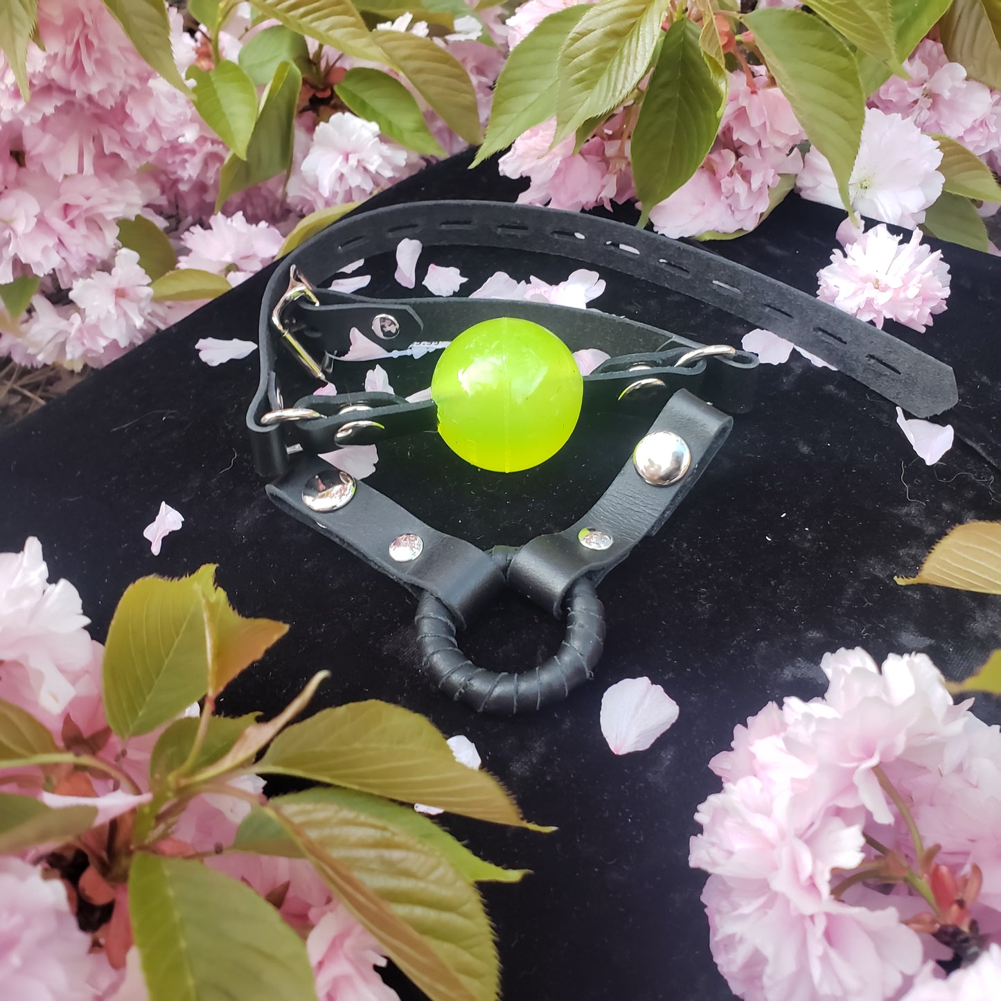The Interchangeable Ball/Ring Gag shown with a neon yellow ball and a ring.