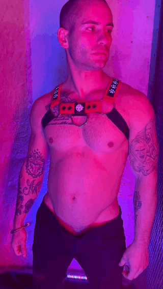 A gif of a model showing the front and the back of the red Poundtown LED Paw print Bulldog Harness.