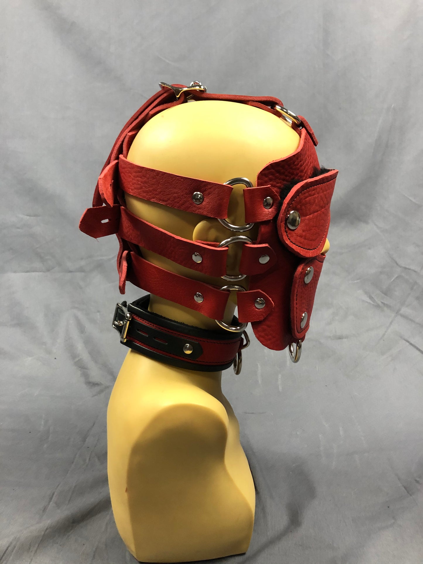 Side view of red bullhide head harness