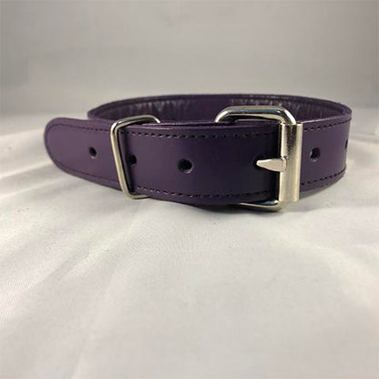 Purple leather collar buckle closure.