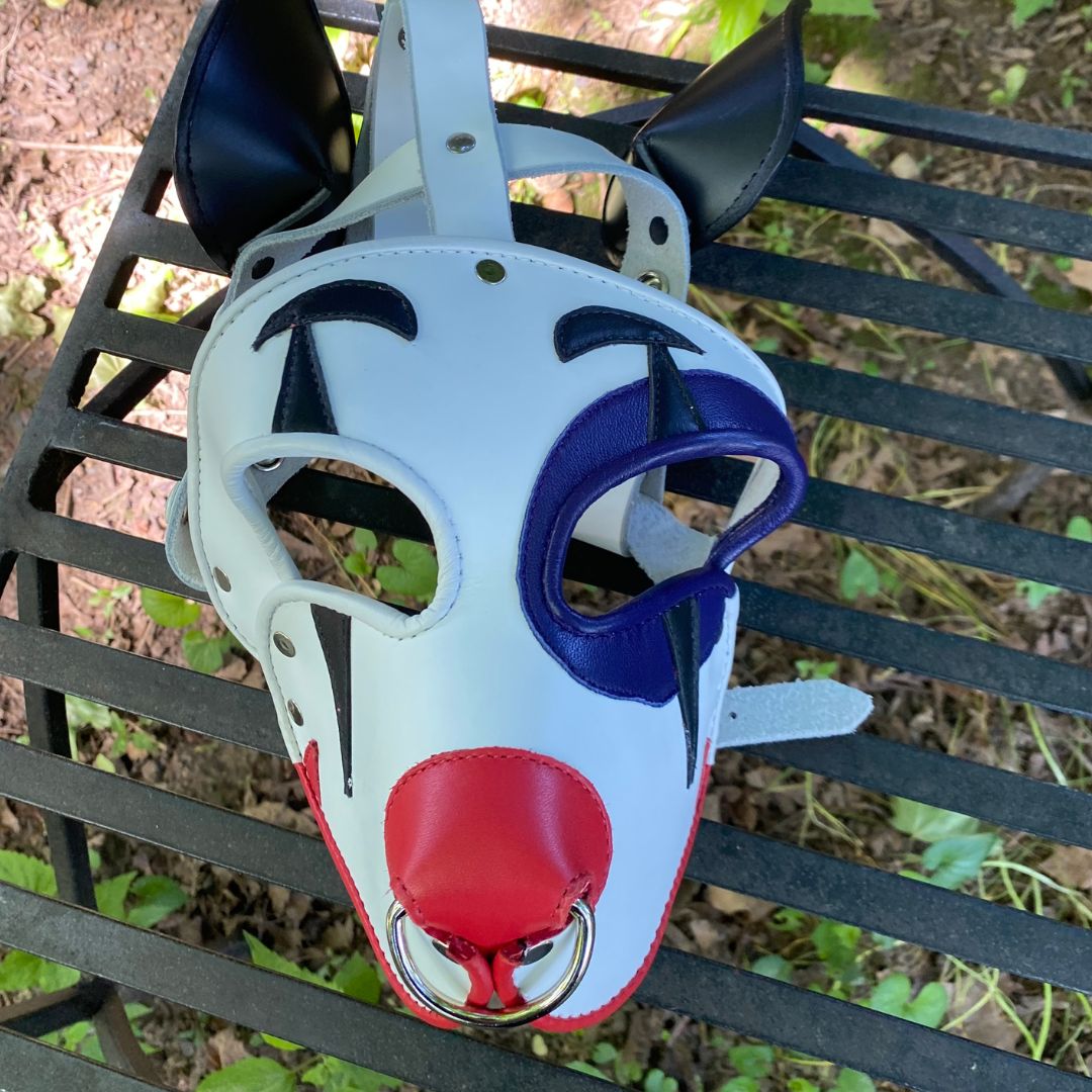 The Harlequin Hound Leather Pup Mask on a metal bench, top side view.