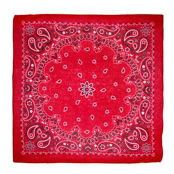 The red handkerchief.