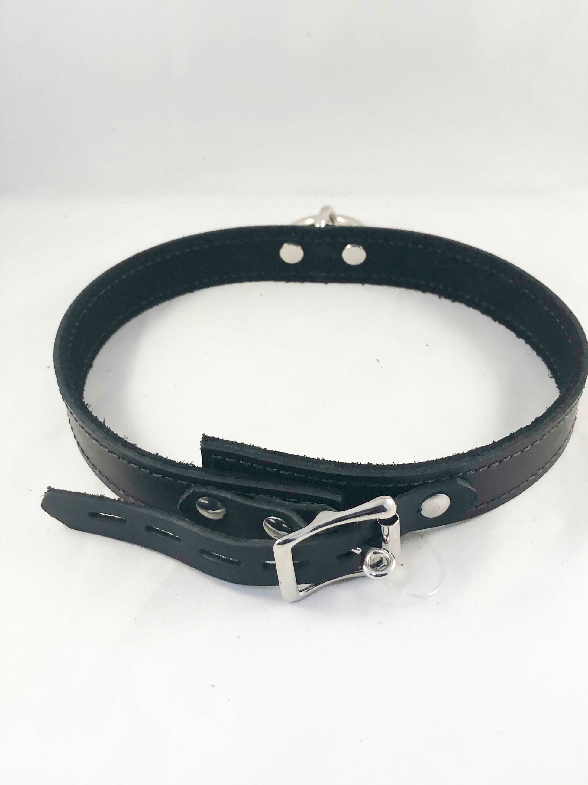 Back view of black collar