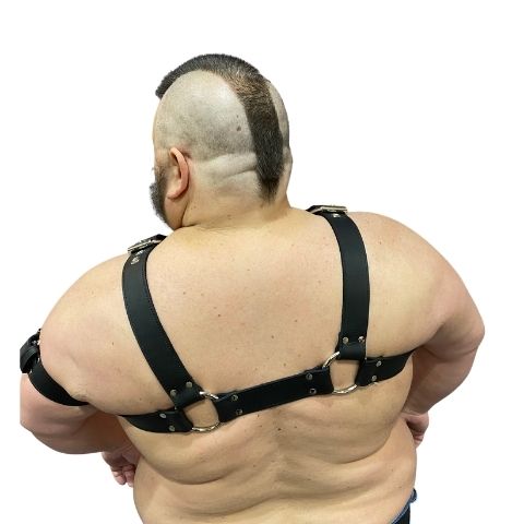 The back of the modern bulldog buckle harness on model.