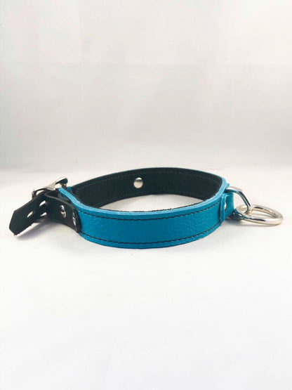 Side view of the teal collar Basic Single Ring Collar.