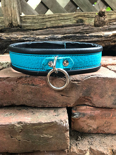 Teal rolled deluxe collar, front.