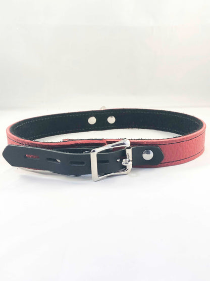 The rear view of the red Basic Single Ring Collar.