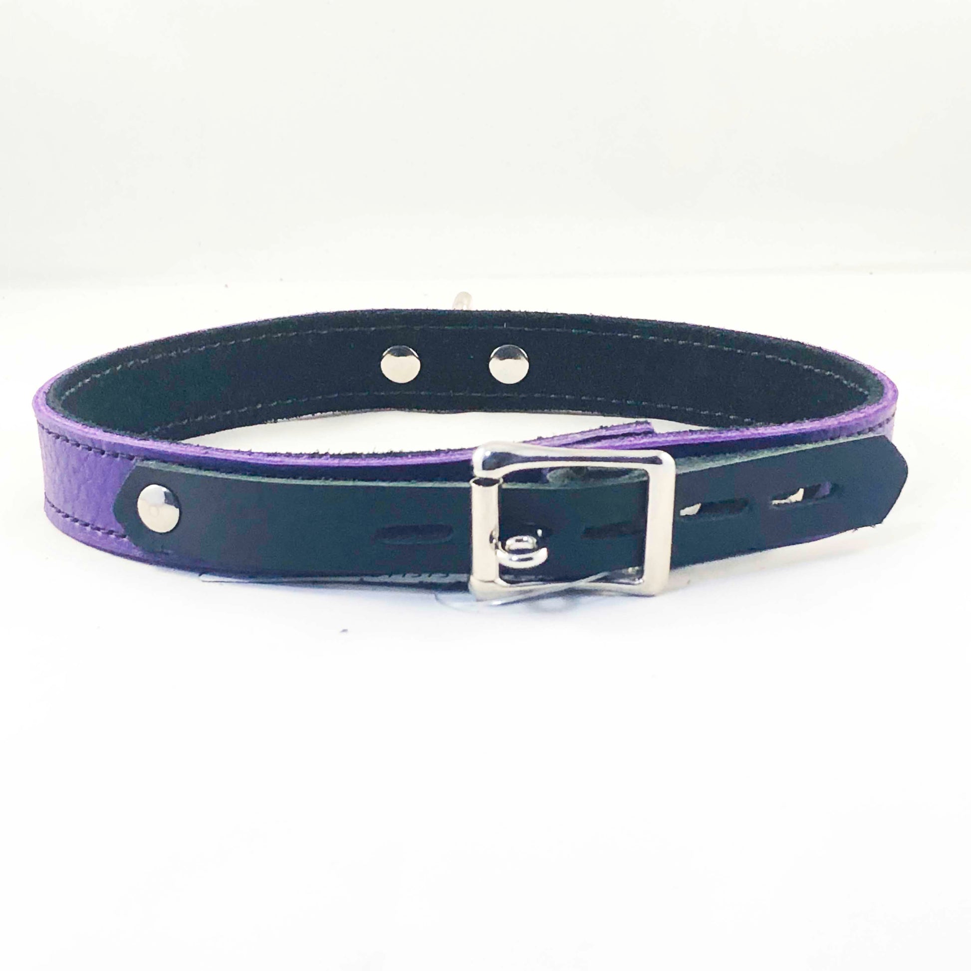 The rear view of the purple Basic Single Ring Collar.