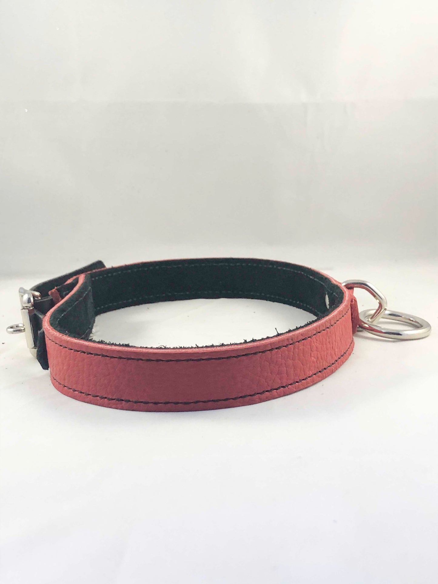 The side view of the red Basic Single Ring Collar.