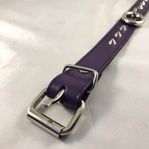 Close up of buckle of purple leather collar.