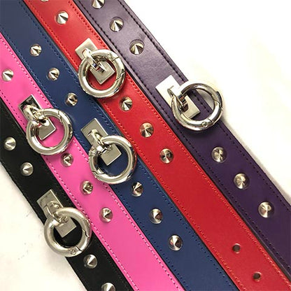 Black, pink, blue, red and purple rouge leather collar.
