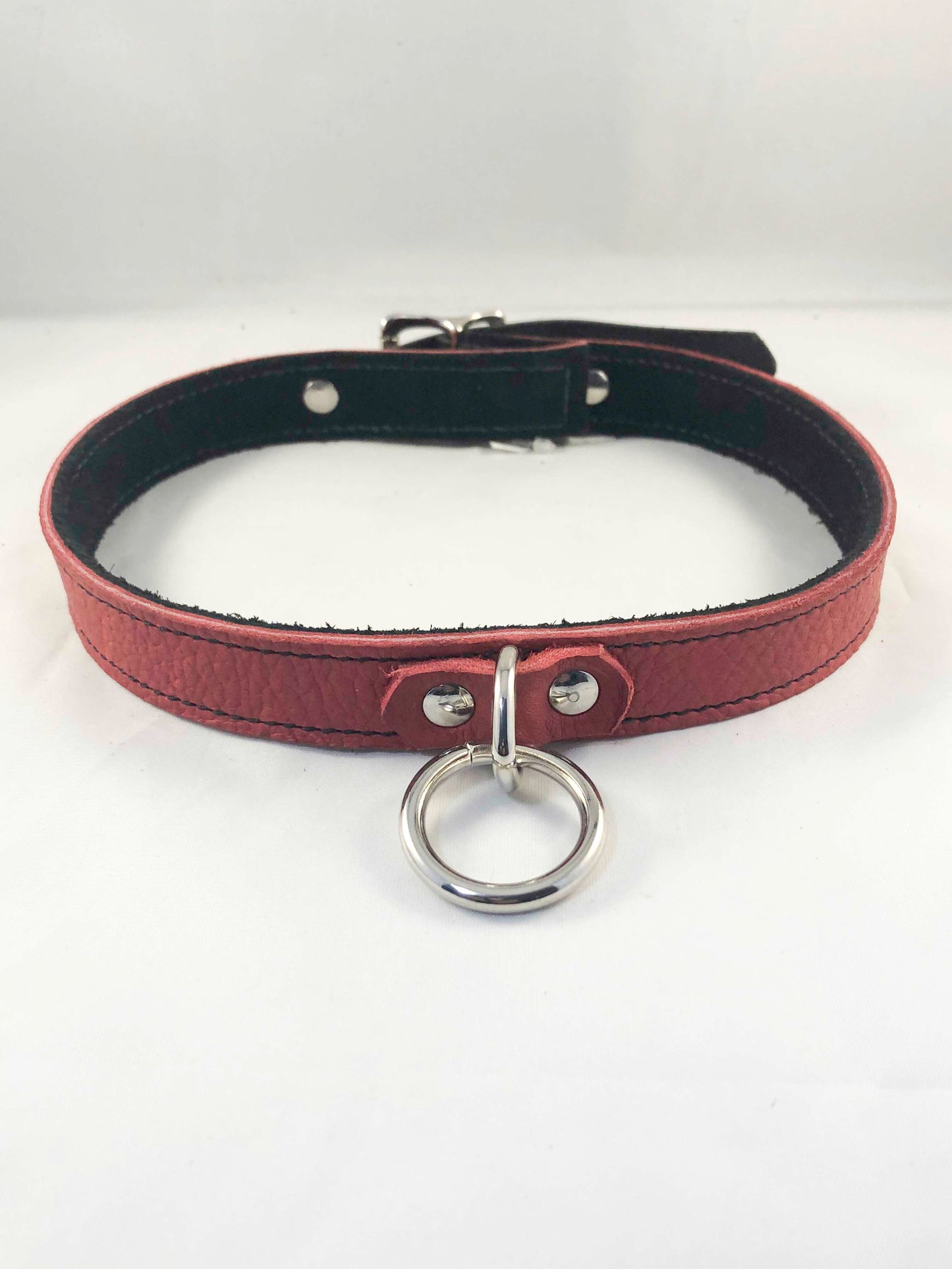 The front view of the red Basic Single Ring Collar.