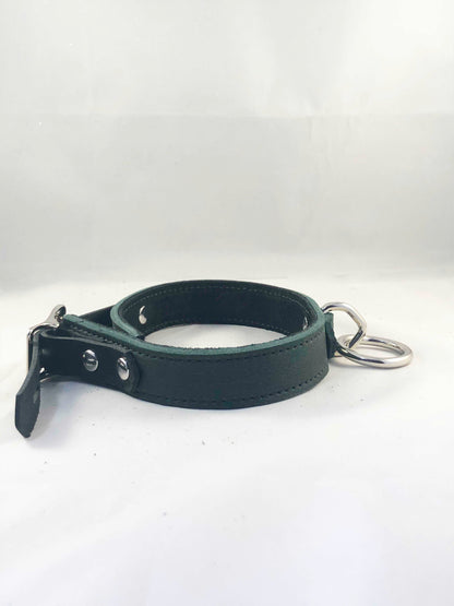 Side view of the forest green Basic Single Ring Collar.