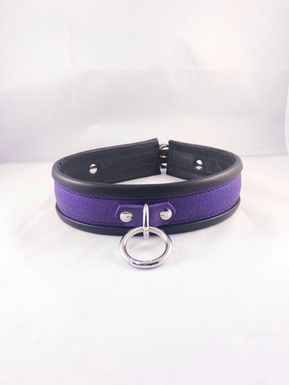 Purple collar, front.
