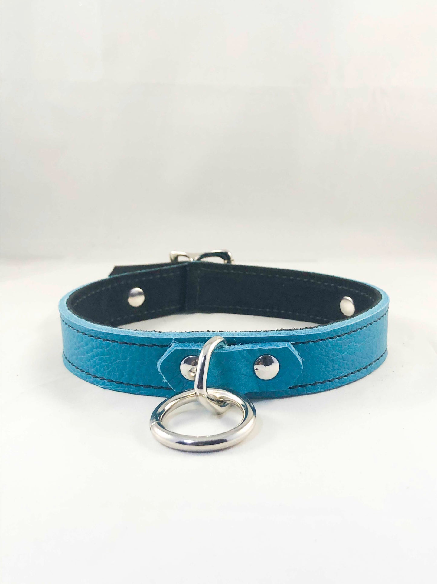 Front view of the teal Basic Single Ring Collar.