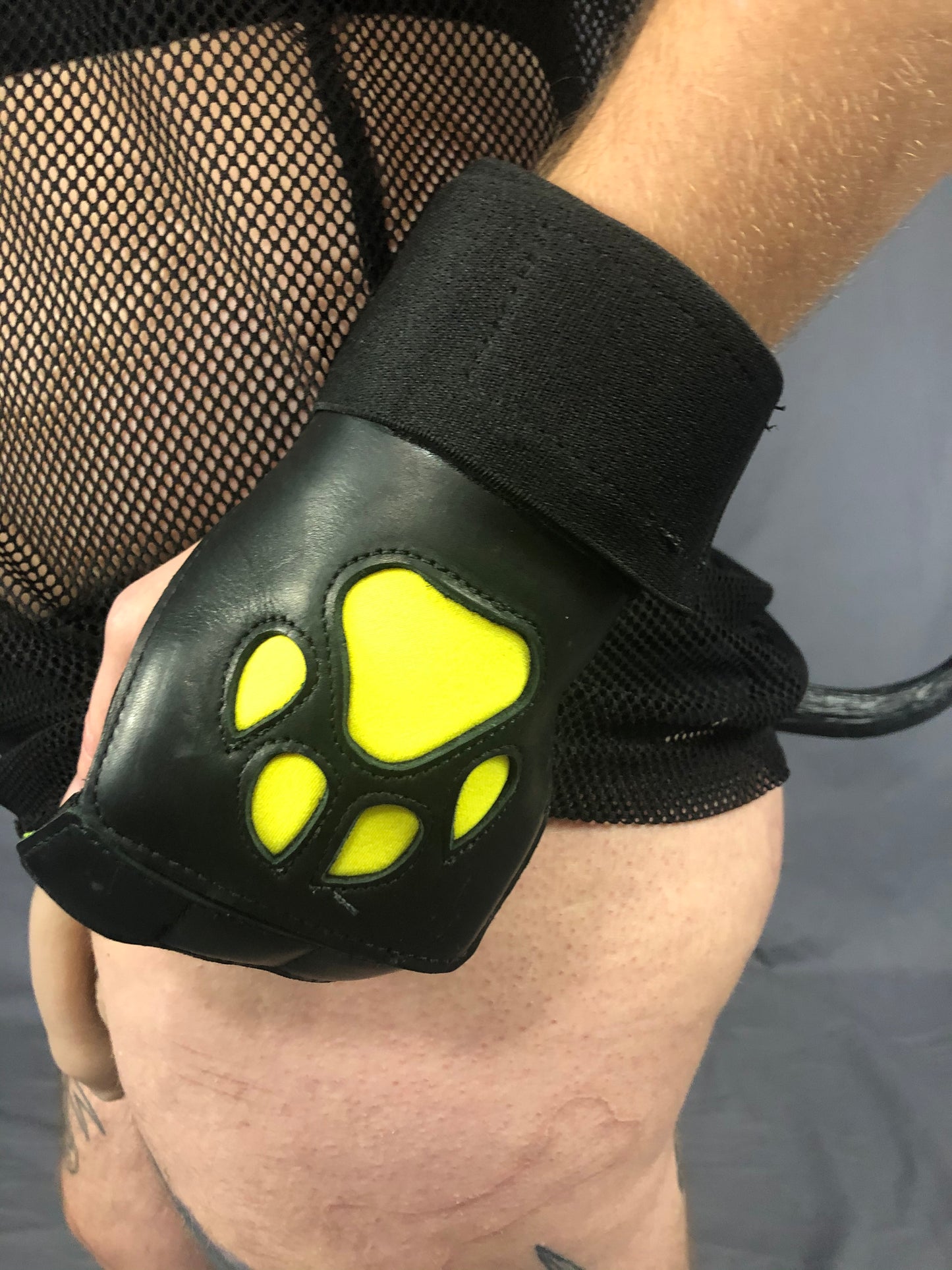 Close up of open paw puppy gloves being worn.