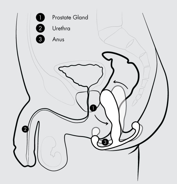 A diagram showing how the Aneros Trident Prostate Massager is inserted.
