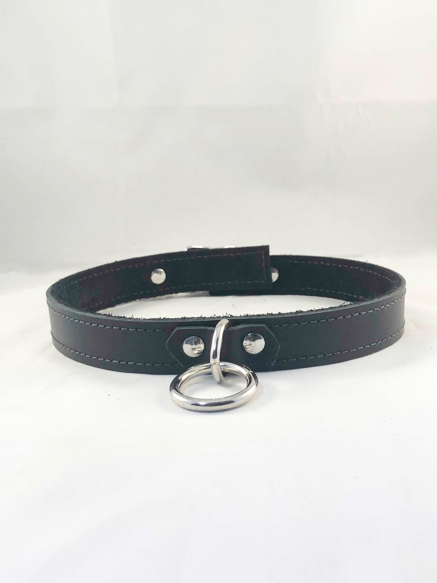 Front view of the black Basic Single Ring Collar.