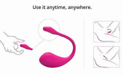 A diagram showing how to use the Lovense Lush 2 Bluetooth Egg Vibrator.
