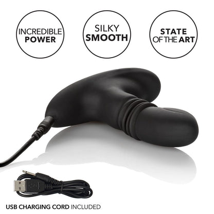 An image showing some features of the Eclipse Thrusting Rotator Anal Probe.