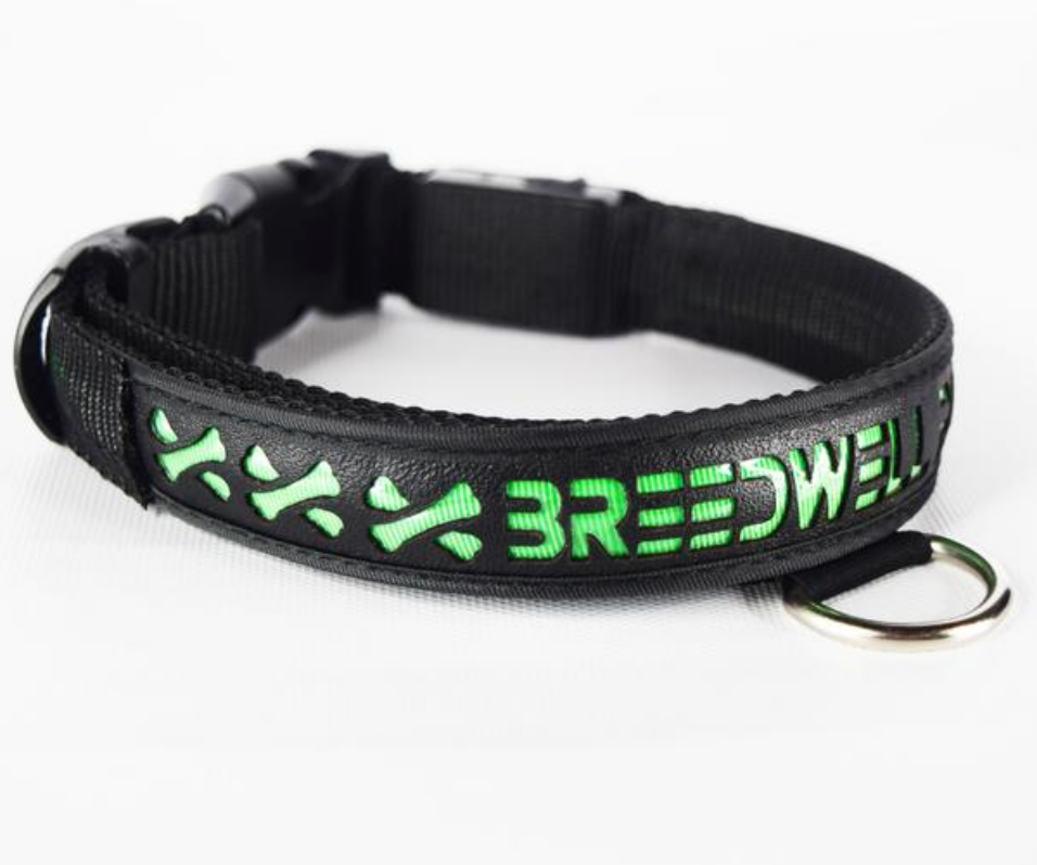 The Breedwell Pup Collar with green LED color.