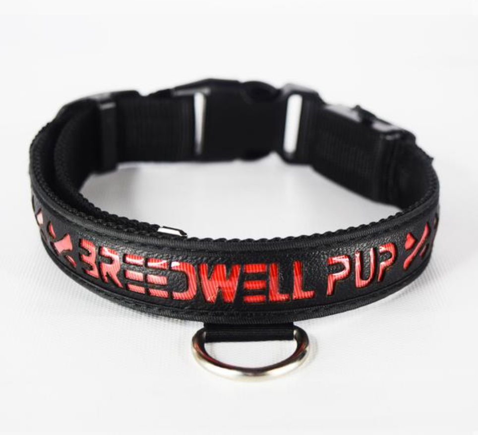 The Breedwell Pup Collar featuring red LED color.