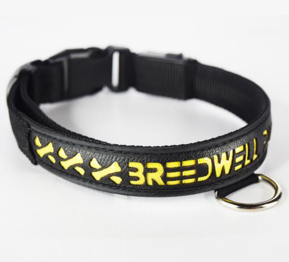 The Breedwell Pup Collar with yellow LED color.