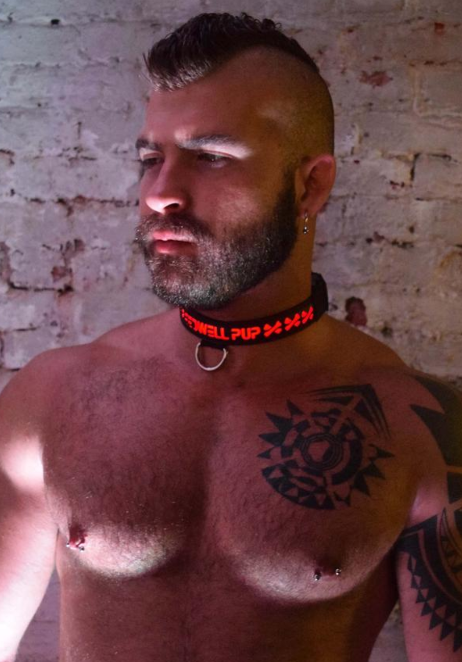 A model wearing the Breedwell Pup Collar with red LED color.