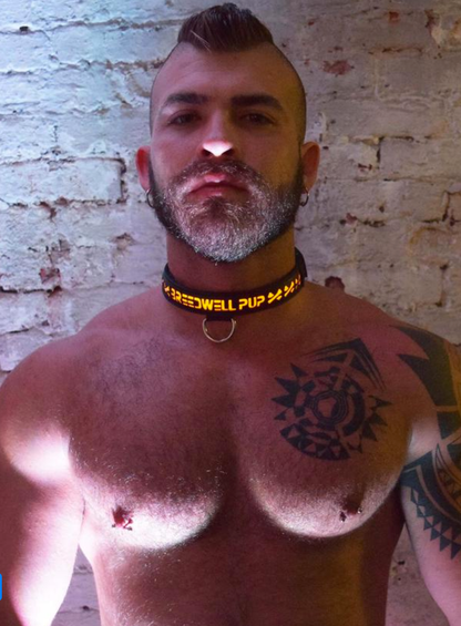 A model wearing the Breedwell Pup Collar with yelloow LED color.